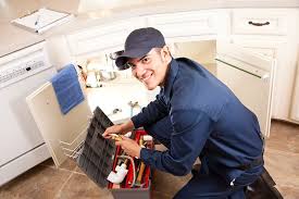 Best Garbage Disposal Repair and Installation  in Central City, PA